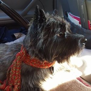 Meet your Posher, Sara sally